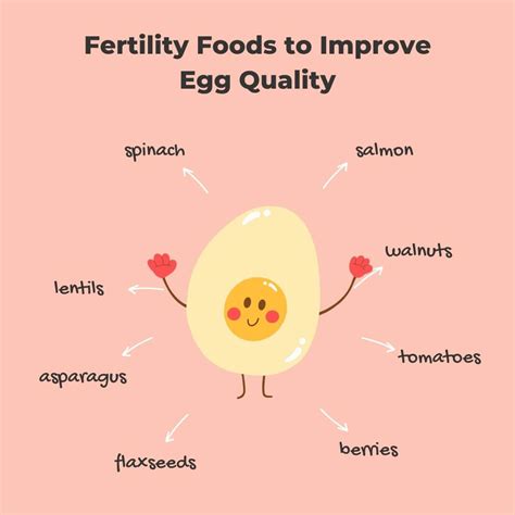 what foods are good for egg quality